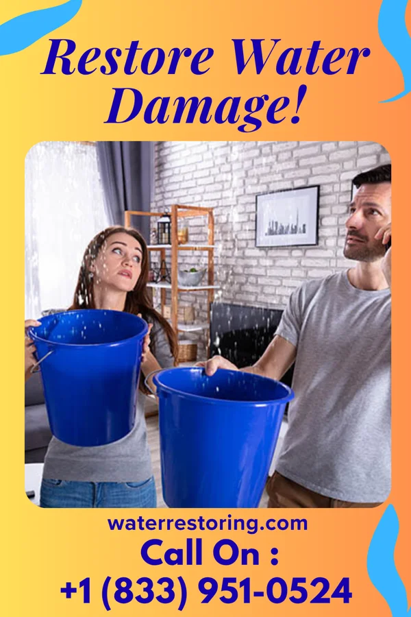 water restoration Diamond Water Solutions Pros Kendall Park